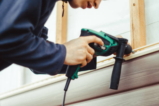 Best Insulated Siding Installation  in Lewisburg, TN